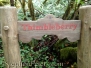 Garden and Signs
