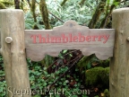 Cabin Sign