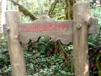 Timber Sign