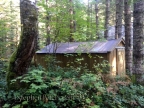 Shed 72