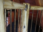 Handrail 016