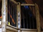 Handrail_0599